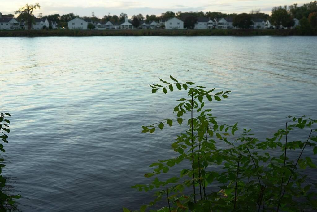 Queen Bed Beautiful Sunset W River View Fast Wifi Apartman Troy Kültér fotó